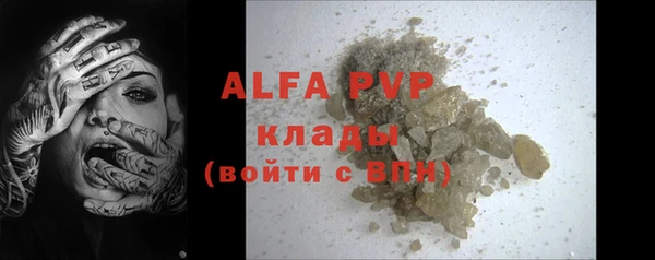 сатива Осинники