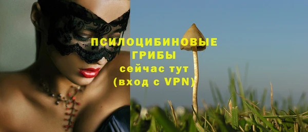 сатива Осинники
