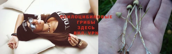 амф Осташков