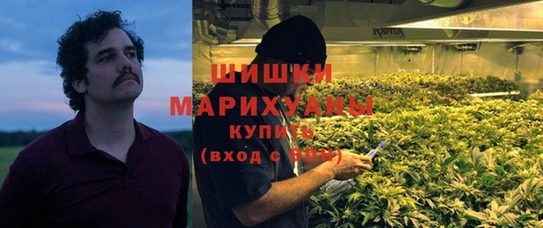 сатива Осинники