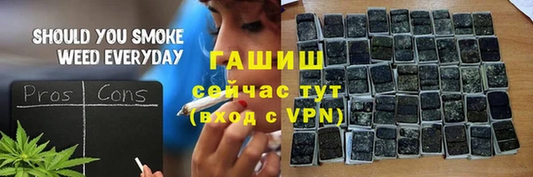 сатива Осинники