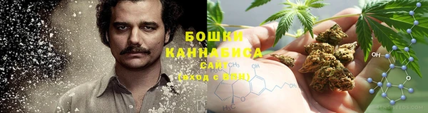 сатива Осинники