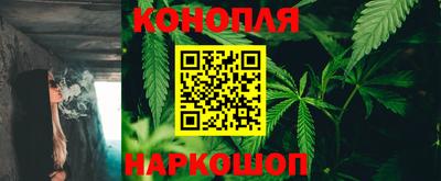 каннабис Камышлов