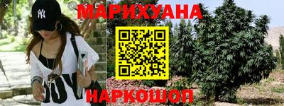прущие крисы Кандалакша
