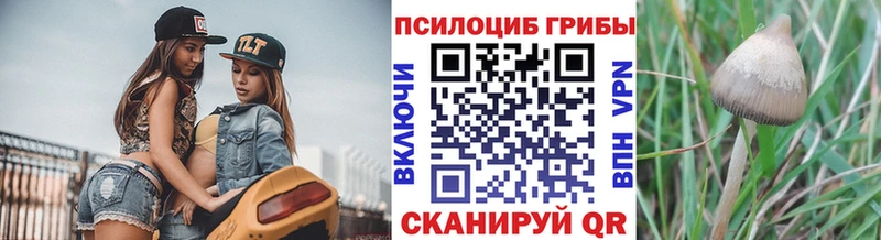 Псилоцибиновые грибы GOLDEN TEACHER  что такое наркотик  Арсеньев 