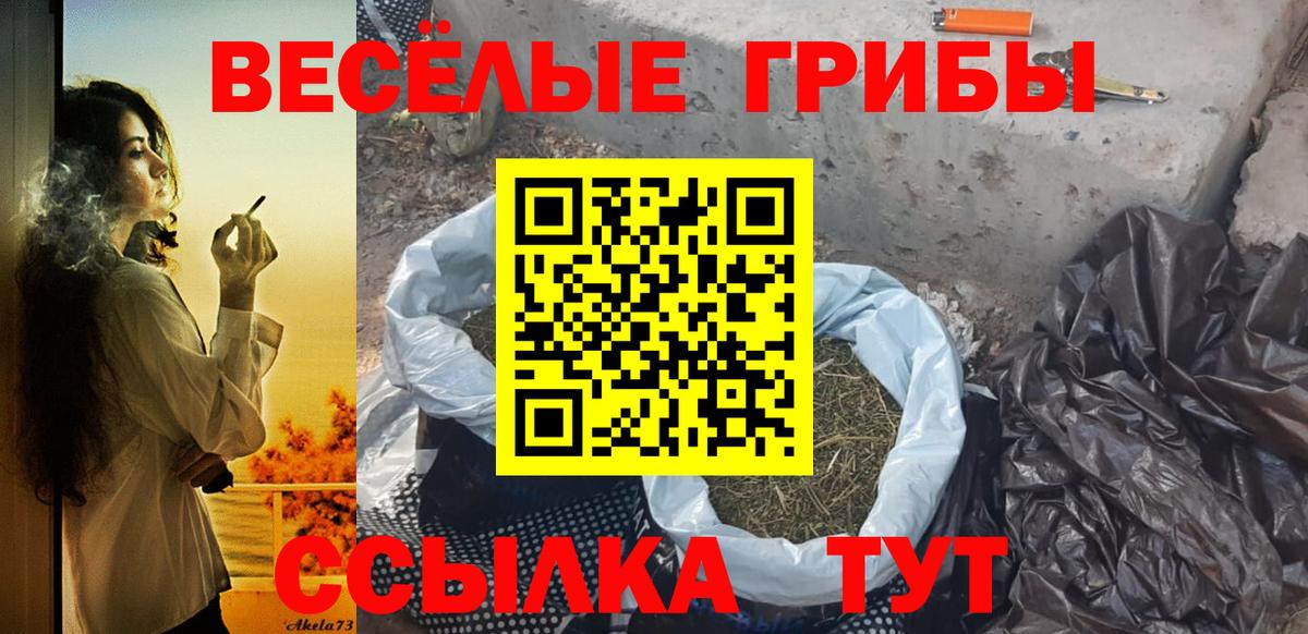 Галлюциногенные грибы MAGIC MUSHROOMS  что такое   Арсеньев 