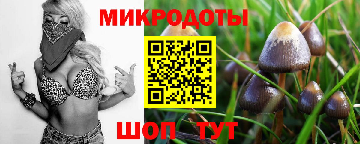 Галлюциногенные грибы Psilocybe  цены наркотик  Арсеньев  Вход с VPN  Псилоцибиновые грибы ЛСД 